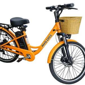 E-Bike 6