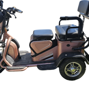 Mobility Scooter two sitter