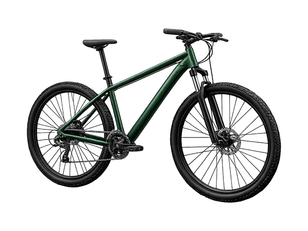 Regular Bike